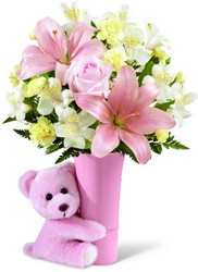The FTD Baby Girl Big Hug Bouquet from Victor Mathis Florist in Louisville, KY